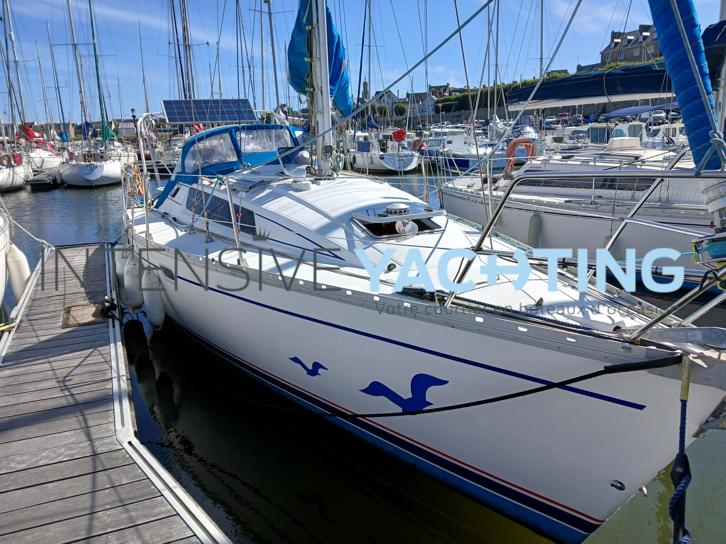 1 SUN LIGHT 30 À VENDRE INTENSIVE YACHTING BROKER MORBIHAN FINISTÈRE OCCASION75